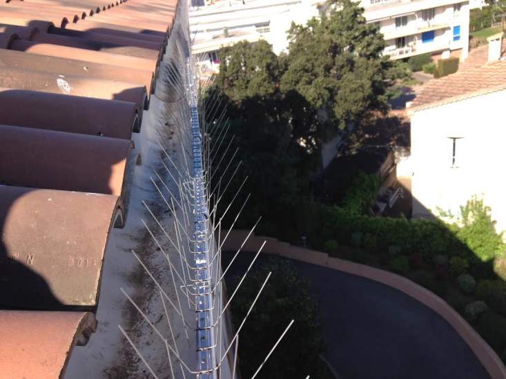 pose de pic anti pigeon pour gouttière à Frejus var 83